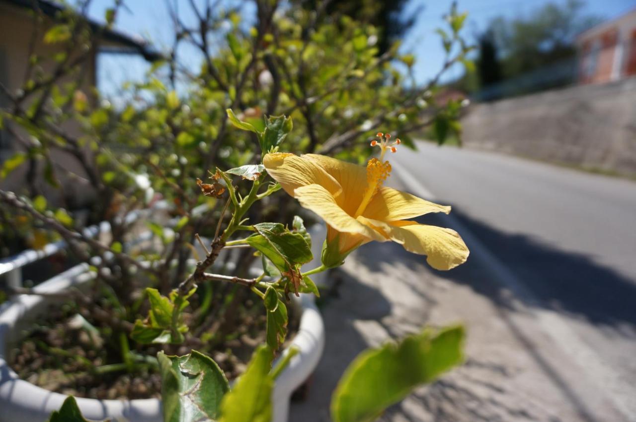Kefalonia Sea View Cottage Ano Valtai エクステリア 写真